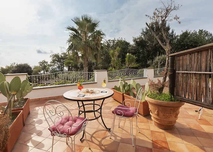 فندق بيلفيديره