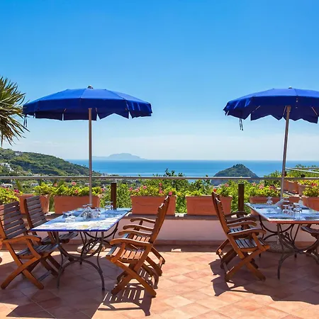 ホテル Belvedere 3*