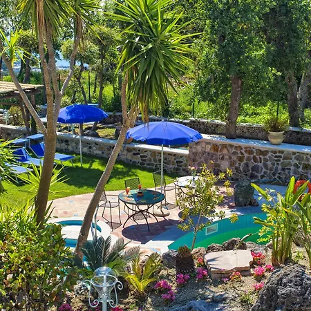 Belvedere ホテル Forio di Ischia