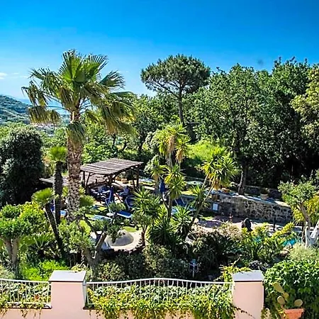 Hotel Belvedere Forio (Isola d'Ischia)