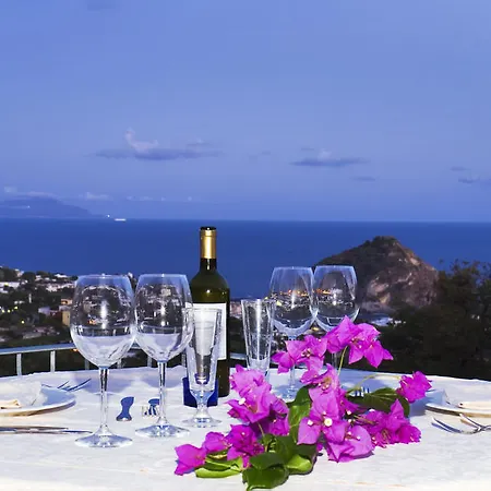 Belvedere 3* Forio (Isola d'Ischia)